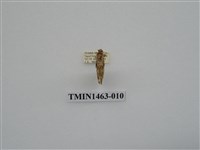 藏品(尺蠖蛾科)的圖片